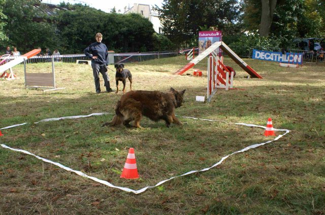 foire-haricots 2011-09-17et18